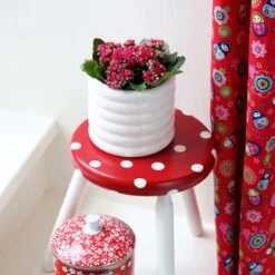 Kalanchoe 'Calandiva'®, Rot, Topf-Ø 12 Cm, Höhe Ca. 27,5 Cm, 6er-Set -Compo Verkäufe 0210350161 Kalanchoe Cal rot