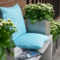 Kalanchoe 'Calandiva'®, Weiß, Topf-Ø 12 Cm, Höhe Ca. 27,5 Cm, 6er-Set 11 Kalanchoe 'Calandiva'®, Weiß, Topf-Ø 12 Cm, Höhe Ca. 27,5 Cm, 6er-Set -Compo Verkäufe 0210350168 Kalanchoe Cal weiss2