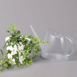 Hedera Helix In Keramiktopf Dallas Weiß, Topf-Ø 12/13 Cm 9 Hedera Helix In Keramiktopf Dallas Weiß, Topf-Ø 12/13 Cm -Compo Verkäufe 0220650241 Hedera gruen in Topf Dallas weiss 3