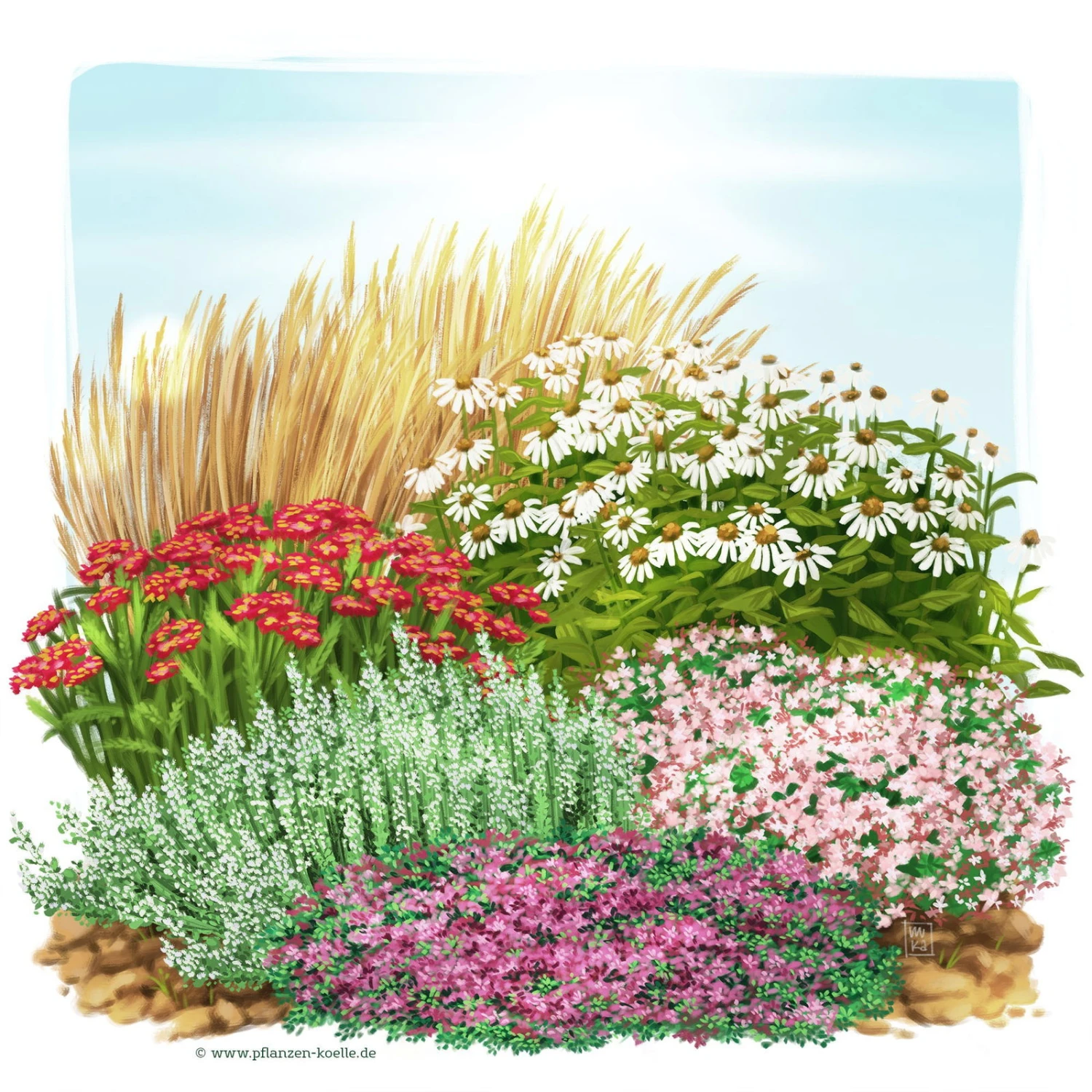 Trockenresistente Stauden Set, 18 Pflanzen Für 3 M², Bunt 1 Trockenresistente Stauden Set, 18 Pflanzen Für 3 M², Bunt