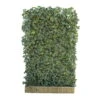 Hecke Am Laufenden Meter® Efeu, 120x180 Cm