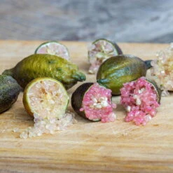 Fingerlimette, Topf-Ø 20 Cm, Höhe Ca.60 Cm -Compo Verkäufe 0630100735 Citrus australasica Stamm T20 H60 70 WS 4 98316