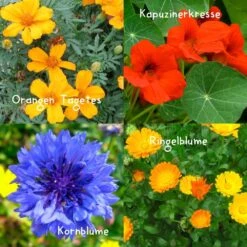 Blumensamen-Set Gourmet Blumen, Essbar, Bienenfreundlich, Dekorativ -Compo Verkäufe 0710403583 Blumensamen Set Gourmet Blumen 4essbare Sorten mit organ Duenger 5 60480