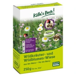 Kölle's Beste Wildkräuter- & Wildblumen-Wiese, Südwestdeutsches Bergland, 250 G