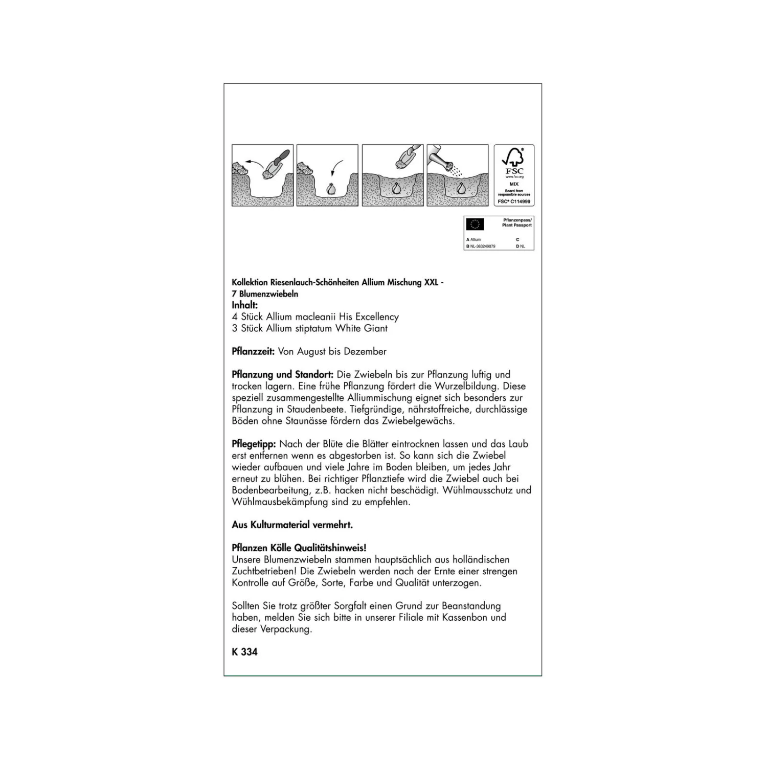 XXL Allium Mischung 'Riesenlauch Schönheiten', Weiß, Lila, 5 Blumenzwiebeln 2 XXL Allium Mischung 'Riesenlauch Schönheiten', Weiß, Lila, 5 Blumenzwiebeln – Bild 2