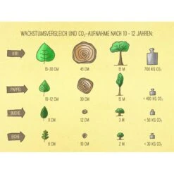 Bio Blauglockenbaum, Co2-Klimabaum 'NordMax21‘ ®, Topf-Ø 15 Cm -Compo Verkäufe 1615100163 Blu Klimabaum 18 121720