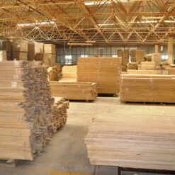 Bio Blauglockenbaum, Co2-Klimabaum 'NordMax21‘ ®, Topf-Ø 15 Cm -Compo Verkäufe 1615100163 Blu Klimabaum 4 121718