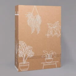 Rose, Orange, Mit Topf Dallas Weiß, Topf-Ø 13 Cm, 3er-Set -Compo Verkäufe B2 02 Karton Sets mit Keramik 1 126161 1