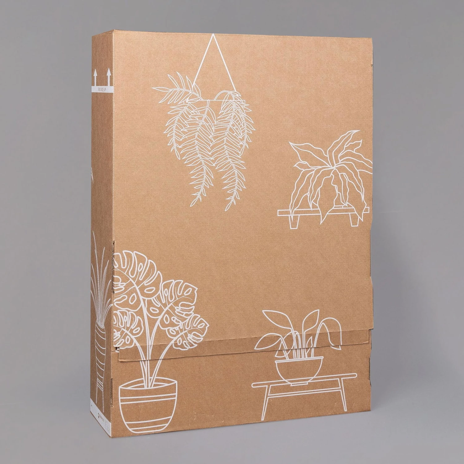 Philodendron 'Brasil' In Keramiktopf Dallas Weiß, Topf-Ø 12 Cm, 2er-Set 7 Philodendron 'Brasil' In Keramiktopf Dallas Weiß, Topf-Ø 12 Cm, 2er-Set – Bild 7