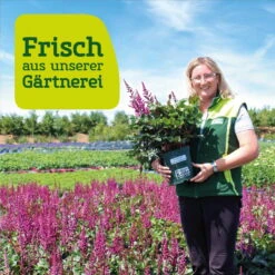 Ausgewählte Produkte -Compo Verkäufe frau setz eigenproduktion 11